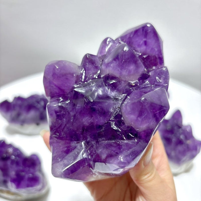 7 Pieces Polished Large Amethyst Teeth Cluster Groot Carving