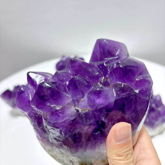 7 Pieces Polished Large Amethyst Teeth Cluster Groot Carving