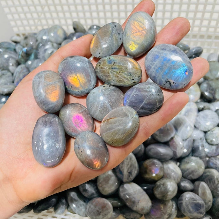 7.77kg(17lbs) Small Purple Blue Labradorite Palm
