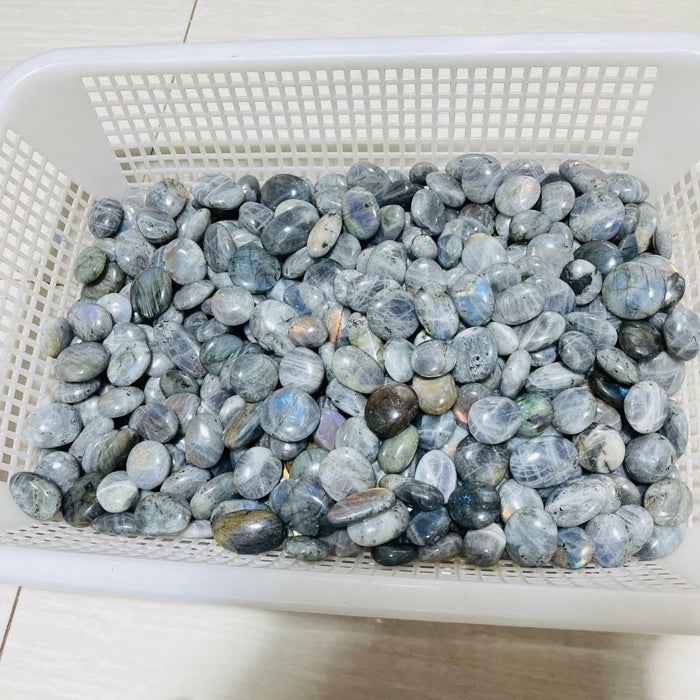 7.77kg(17lbs) Small Purple Blue Labradorite Palm