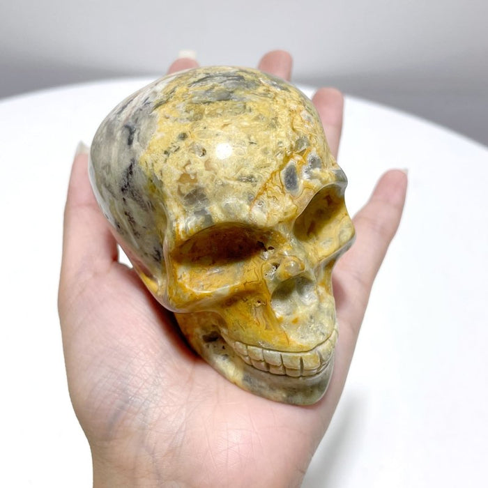 8 Pieces Beautiful Crazy Agate Skull Carving