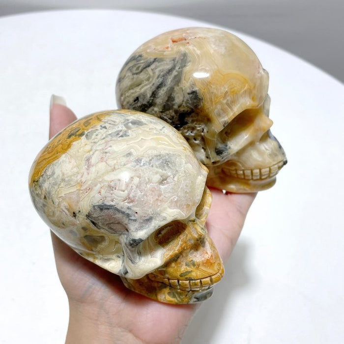 8 Pieces Beautiful Crazy Agate Skull Carving