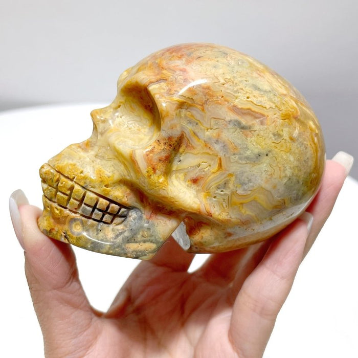 8 Pieces Beautiful Crazy Agate Skull Carving