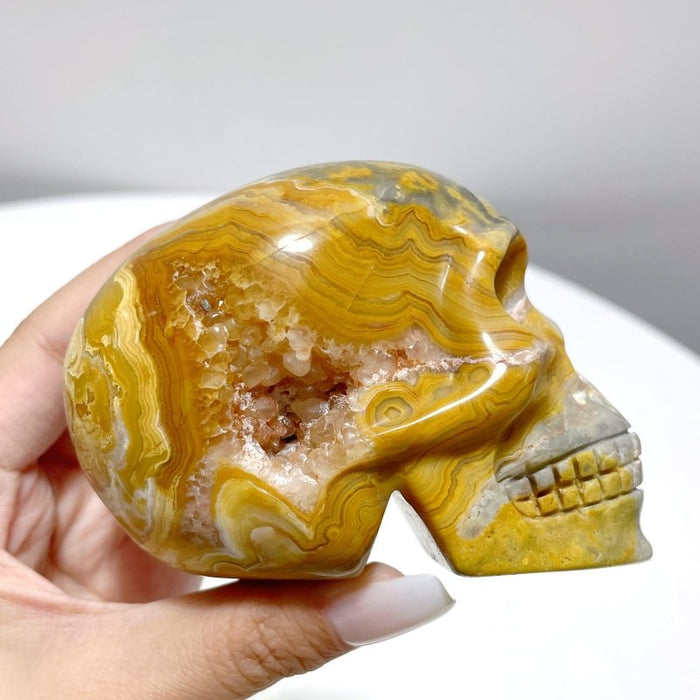 8 Pieces Beautiful Crazy Agate Skull Carving