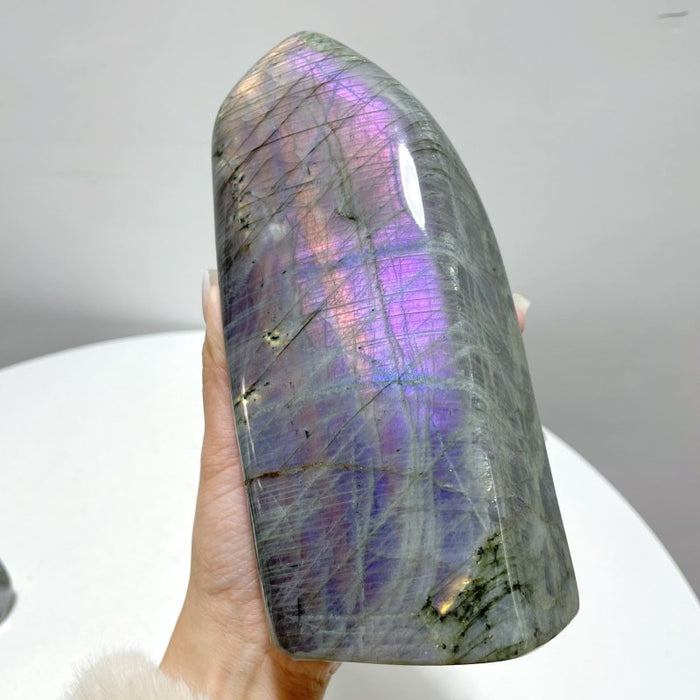 8 Pieces Beautiful Large Purple Labradorite Free Form