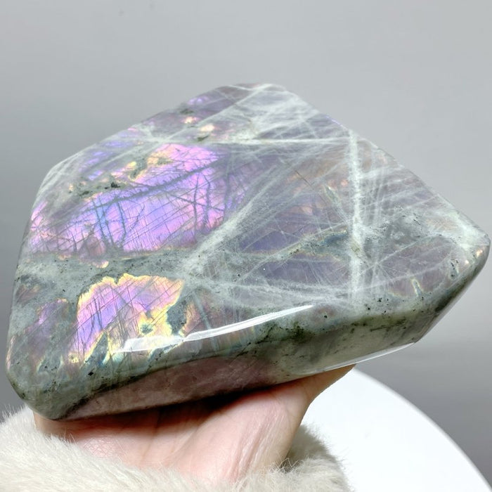 8 Pieces Beautiful Large Purple Labradorite Free Form