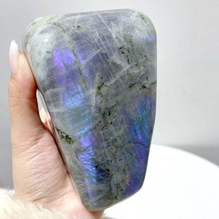 8 Pieces Beautiful Large Purple Labradorite Free Form