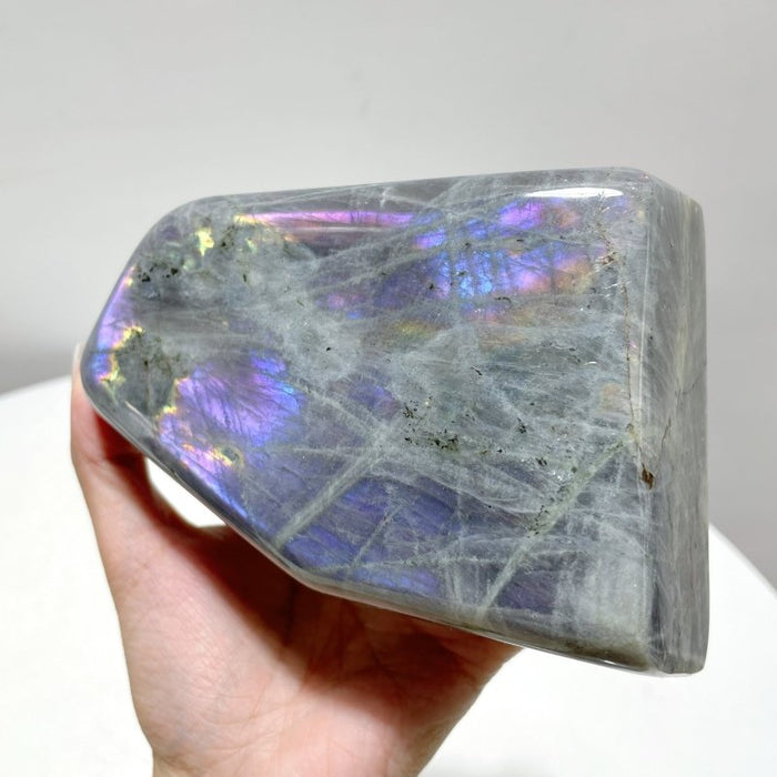 8 Pieces Beautiful Large Purple Labradorite Free Form