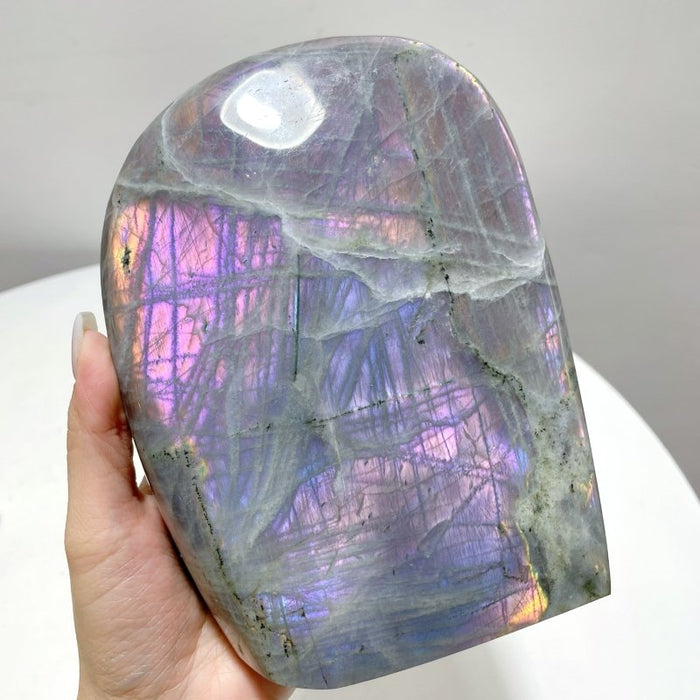 8 Pieces Beautiful Large Purple Labradorite Free Form