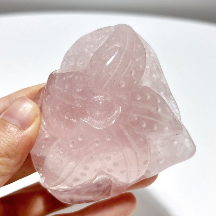 8 Pieces Beautiful  Rose Quartz Sea Animals Carving