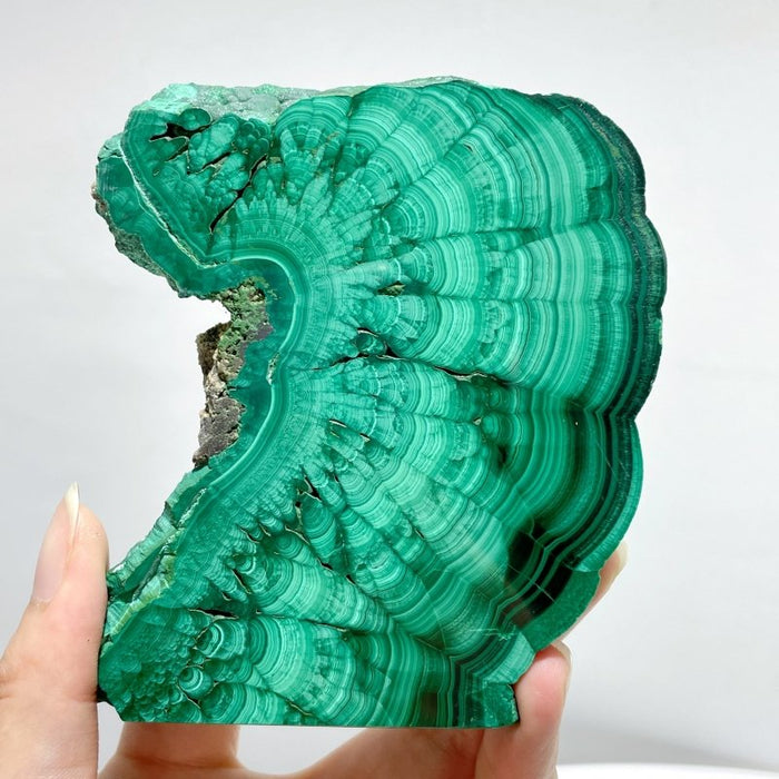 8 Pieces High Quality Polished Malachite Slab
