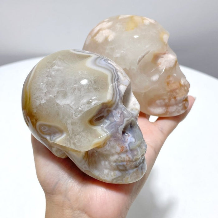 8 Pieces Large Sakura Flower Agate Skull Carving