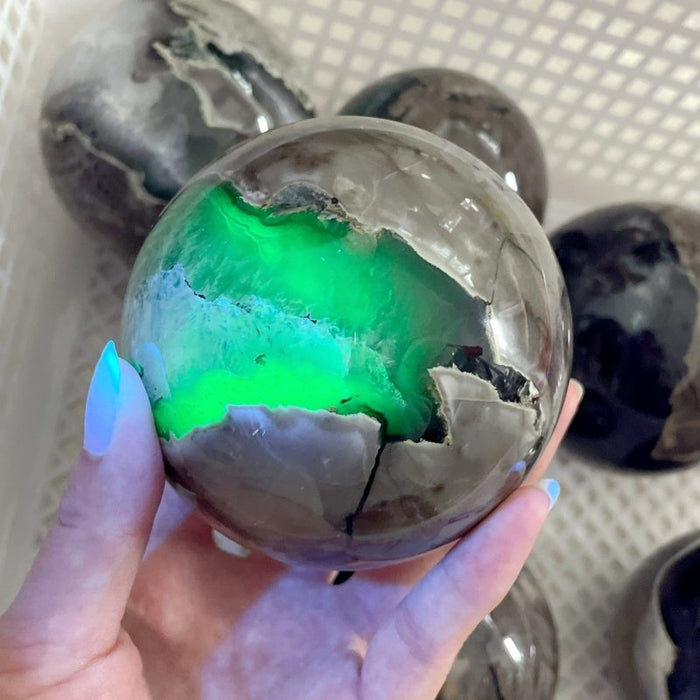 8 Pieces Large Volcano Agate Spheres (UV Reactive)