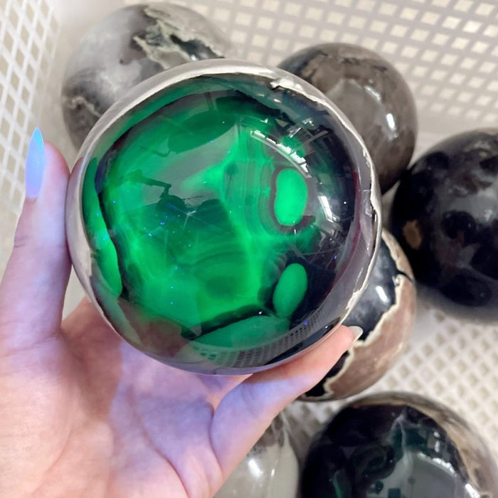 8 Pieces Large Volcano Agate Spheres (UV Reactive)