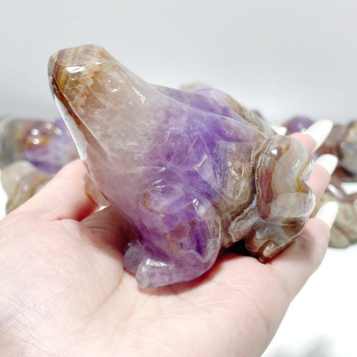 9 Pieces Amethyst Mixed Agate Frog Carving