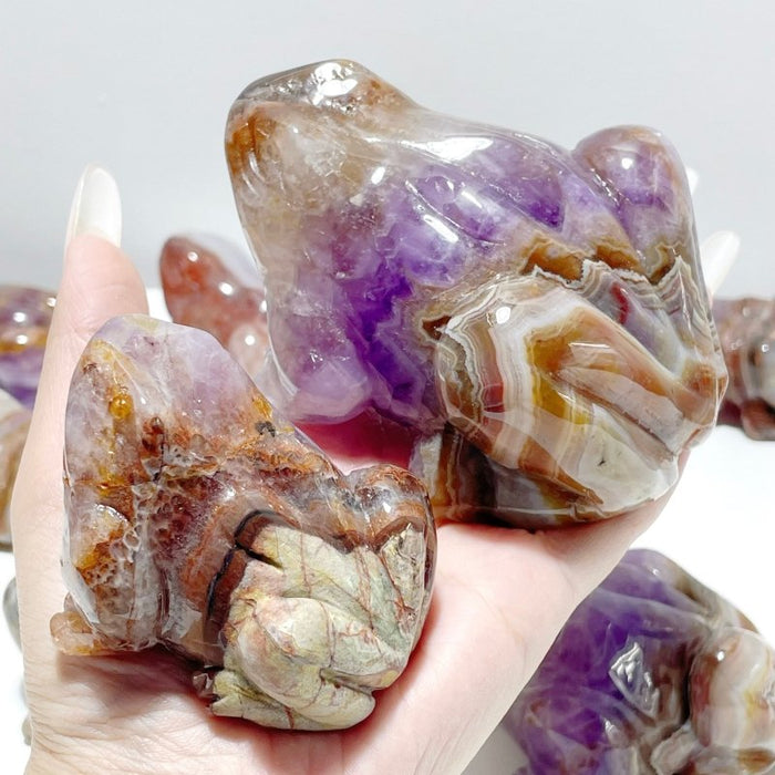 9 Pieces Amethyst Mixed Agate Frog Carving