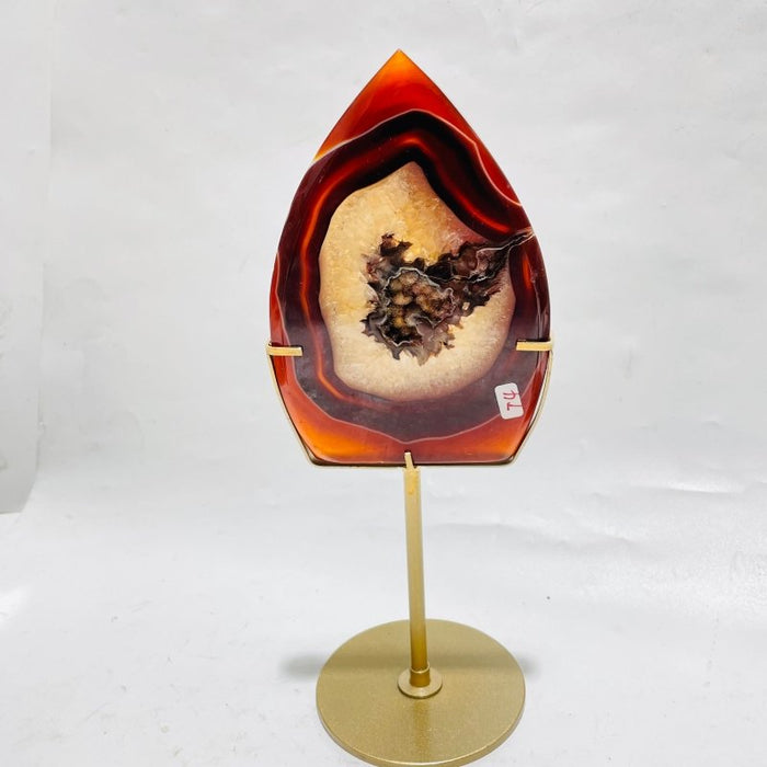 9 Pieces Beautiful Geode Carnelian Druzy Arrow Head With Stand