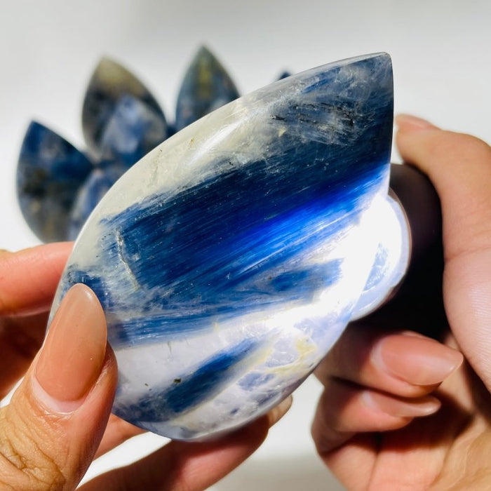 9 Pieces Blue Kyanite Mixed Clear Quartz Arrow Head Shape