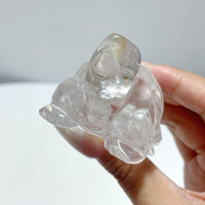 9 Pieces Clear Quartz Turtle Carving