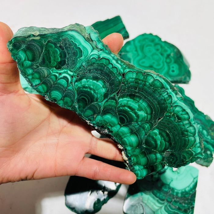 9 Pieces Large Polished Malachite Slab