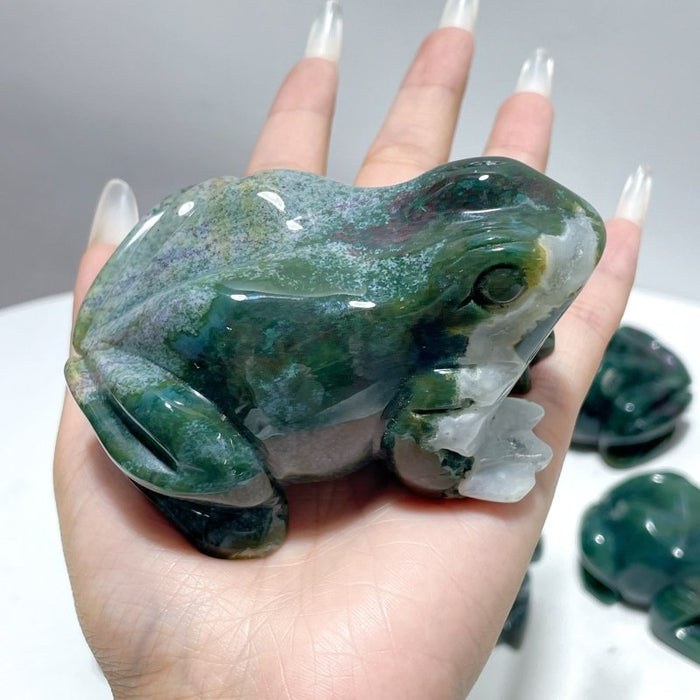 9 Pieces Unique Ocean Jasper Frog Carving