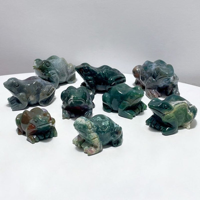 9 Pieces Unique Ocean Jasper Frog Carving