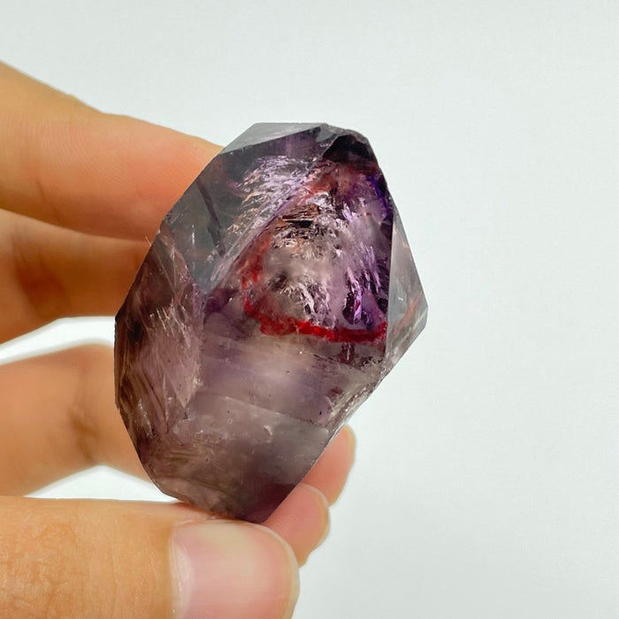 A19 Scepter Super7 Amethyst Enhydro Crystal