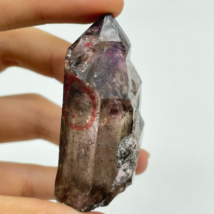 A27 Scepter Super7 Amethyst Enhydro Crystal