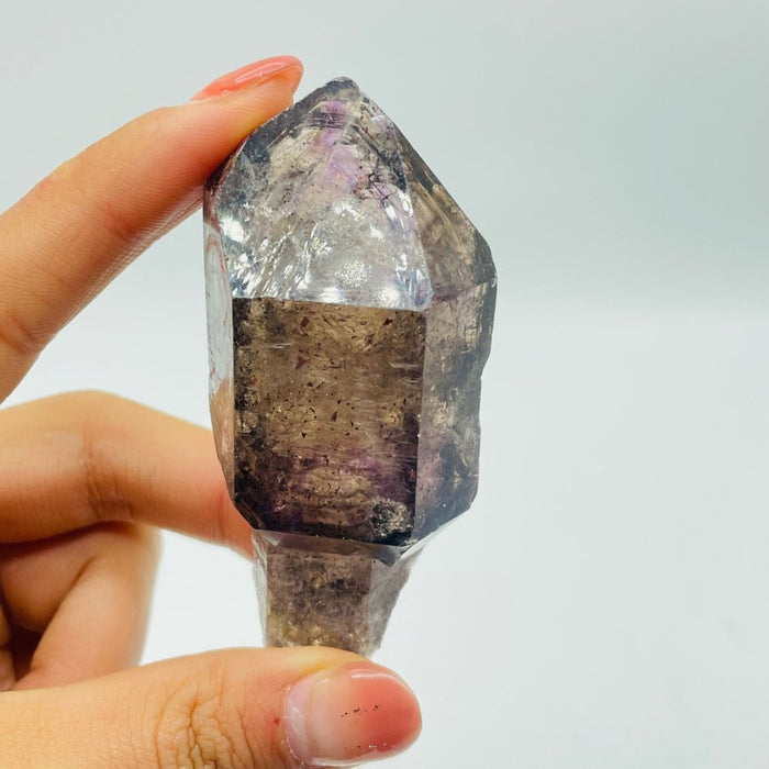 A30 Scepter Super7 Amethyst Enhydro Crystal