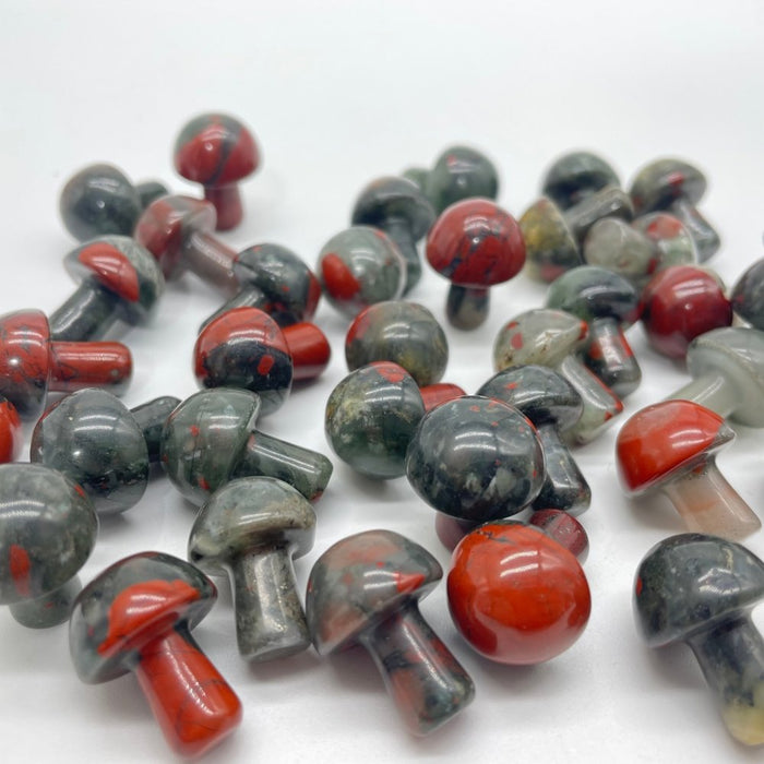 Africa Blood Stone Mushroom Wholesale