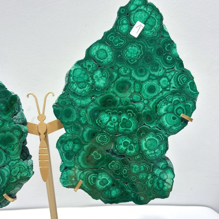 Beautiful Large Polished Malachite Raw Slab Butterfly Wing With Stand (#7)