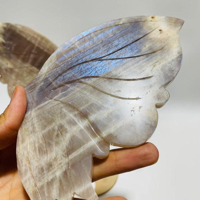 Blue Moonstone Mixed Sunstone Butterfly Carving With Stand