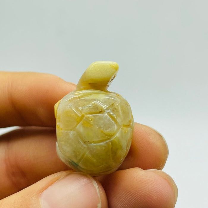 4 Types Turtle Carving Wholesale Caribbean & Moss Agate