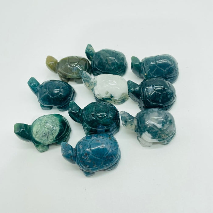 4 Types Turtle Carving Wholesale Caribbean & Moss Agate