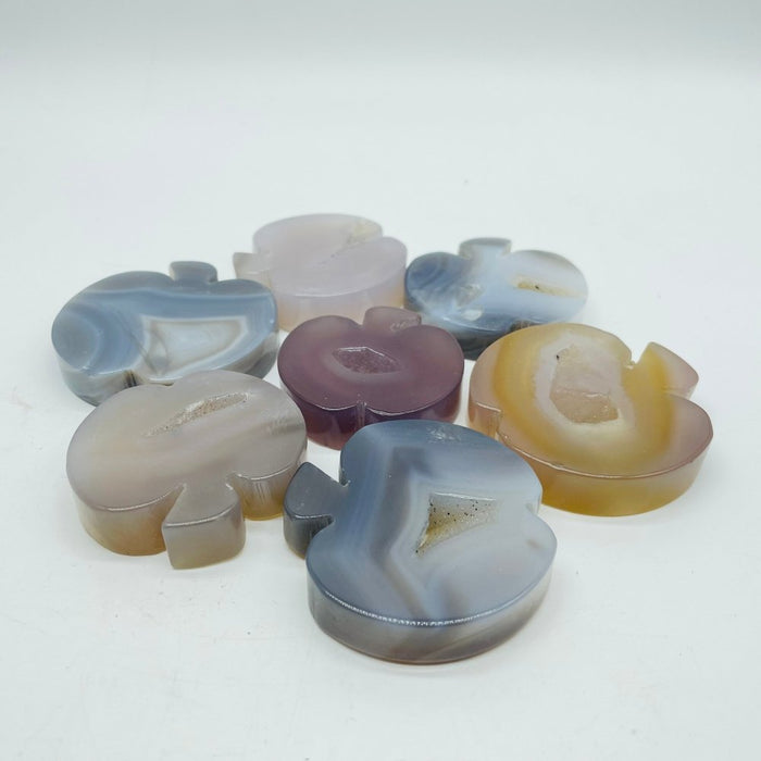 Druzy Agate Geode Apple Wholesale
