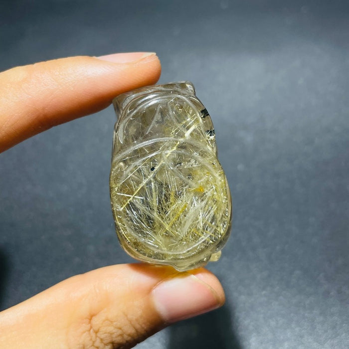 2 Pieces High Quality Golden Rutile Pi Xiu Carving
