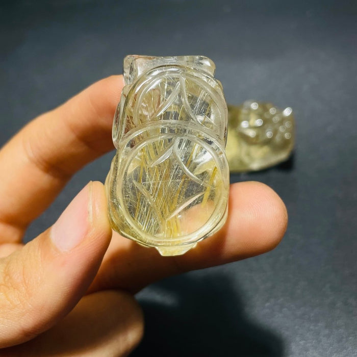 2 Pieces High Quality Golden Rutile Pi Xiu Carving
