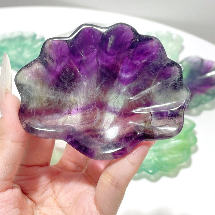 Fluorite Shell Beautiful Shallow Bowl Wholesale