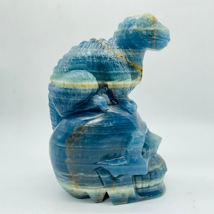 High Quality Blue Onyx Dinosaur Skull Carving