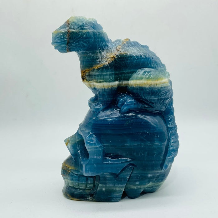 High Quality Blue Onyx Dinosaur Skull Carving