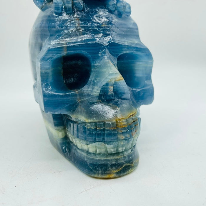 High Quality Blue Onyx Dinosaur Skull Carving