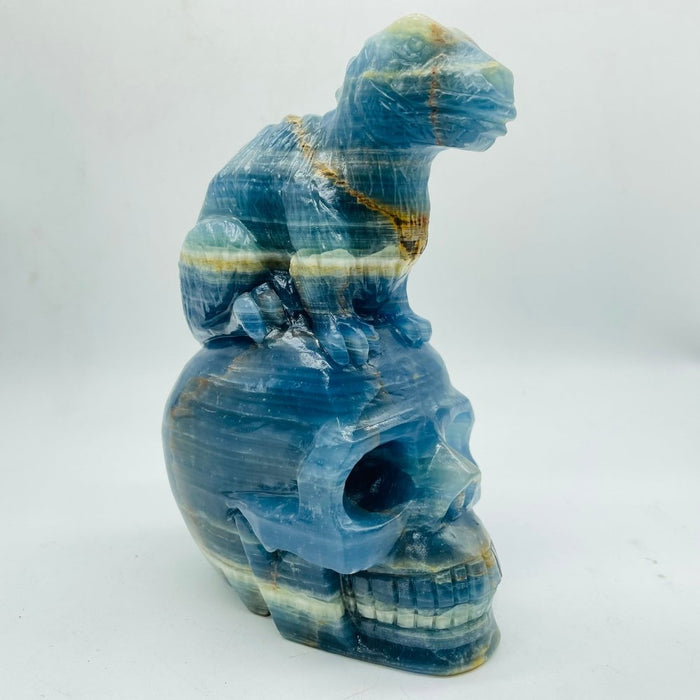 High Quality Blue Onyx Dinosaur Skull Carving