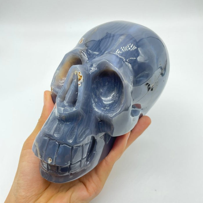 High Quality Geode Druzy Agate Large Skull