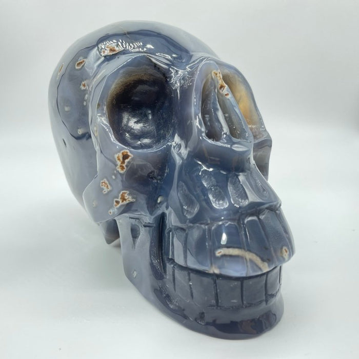 High Quality Geode Druzy Agate Large Skull