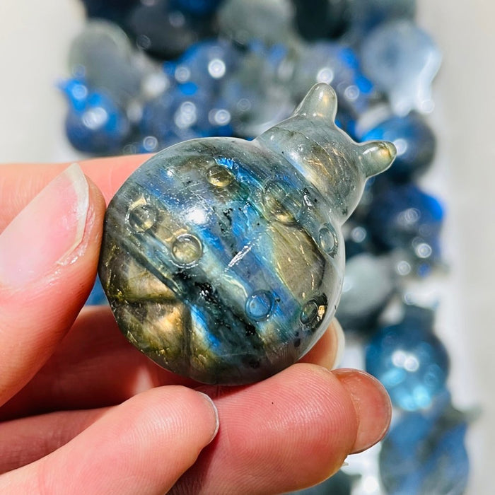 High Quality Labradorite Ladybug Carving Wholesale