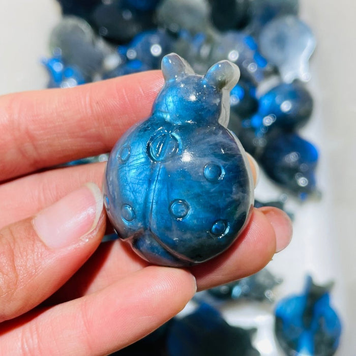 High Quality Labradorite Ladybug Carving Wholesale