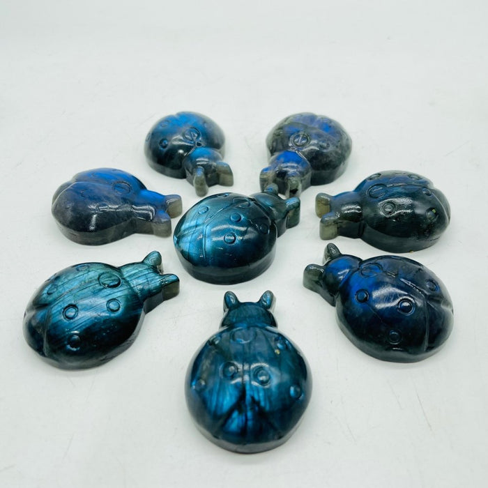 High Quality Labradorite Ladybug Carving Wholesale