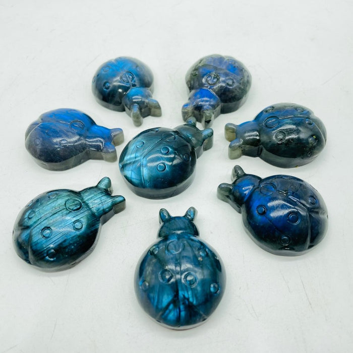 High Quality Labradorite Ladybug Carving Wholesale