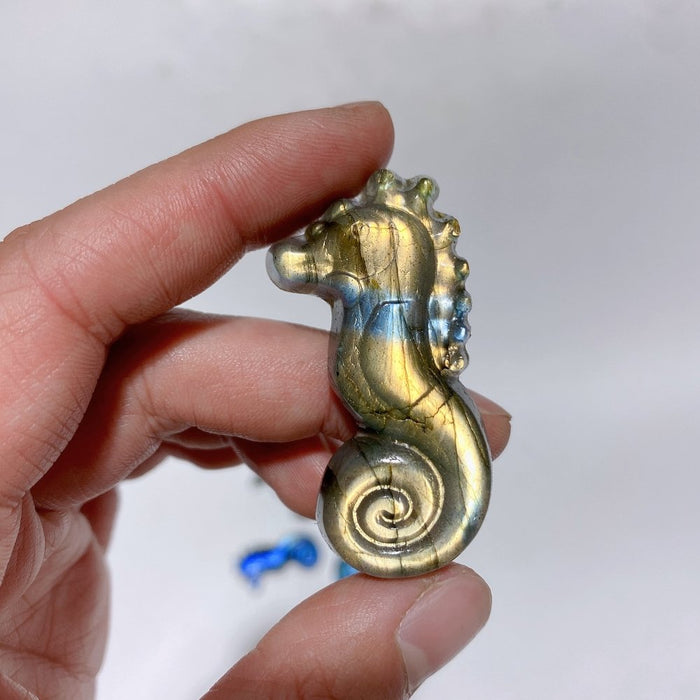 High Quality Labradorite Seahorse Carving Wholesale