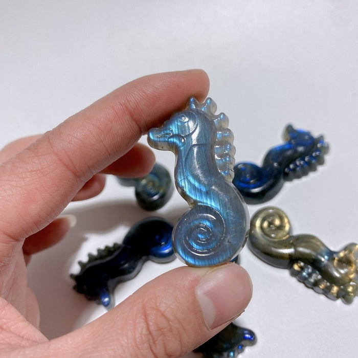 High Quality Labradorite Seahorse Carving Wholesale
